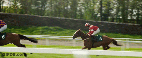 A Jockey On A Horse With The Number 3 On The Back GIF