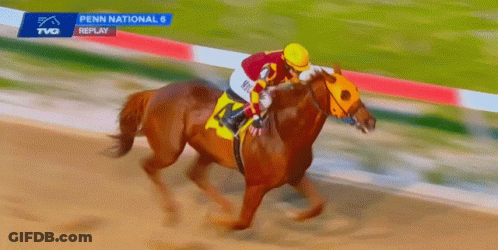 A Jockey Rides A Horse In A Penn National Race GIF