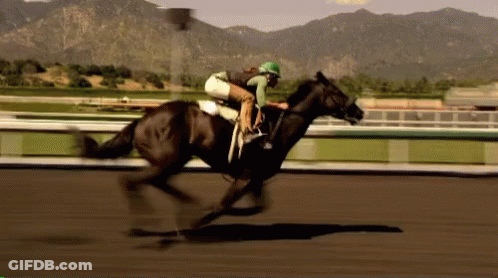 A Jockey Rides A Horse On A Race Track GIF