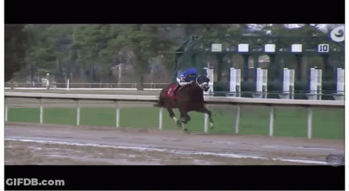 A Jockey Rides A Horse On A Race Track With The Number 10 On The Fence GIF