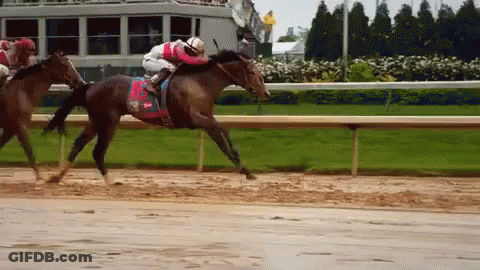 A Jockey Riding A Horse With A Red Saddle That Says ' J. ' On It GIF