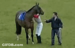 A Jockey Riding A Horse With A Speech Bubble Saying Do A Barrel Roll GIF