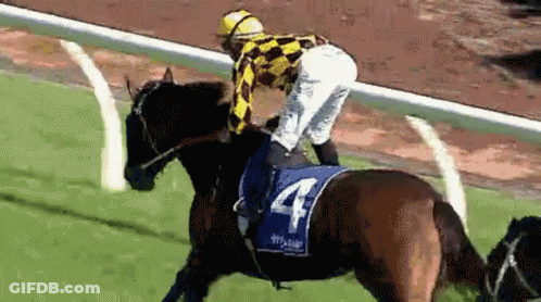 A Jockey Riding A Horse With The Number 4 On The Saddle GIF