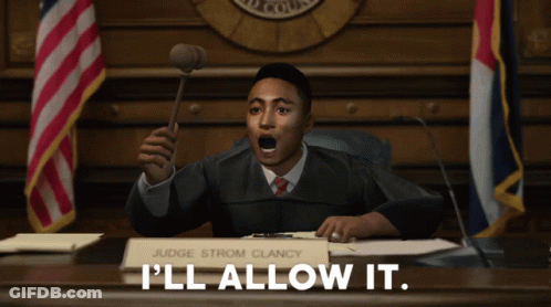 A Judge Is Holding A Gavel In A Courtroom And Says I 'Ll Allow It GIF