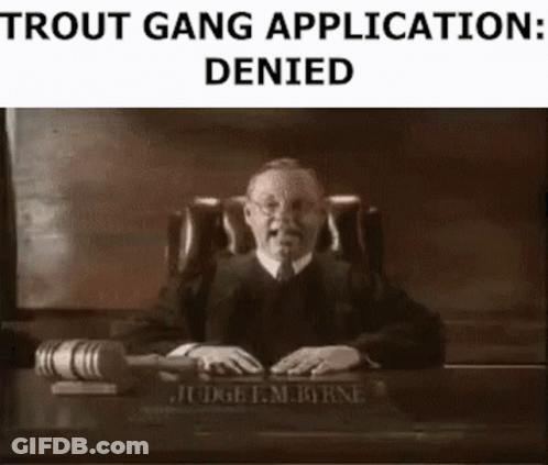 A Judge Is Sitting At A Desk In A Courtroom With A Gavel In His Hand . GIF