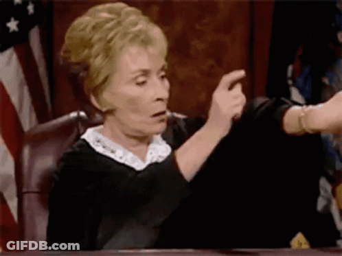 Judge Pointing At Someone In Court With American Flag GIF