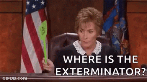 A Judge Is Sitting In A Courtroom Holding A Green Umbrella . GIF
