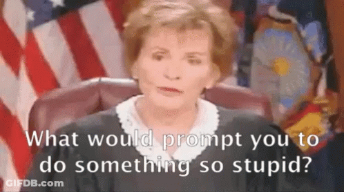 A Judge Is Sitting In Front Of An American Flag And Asking What Would Prompt You To Do Something So Stupid . GIF