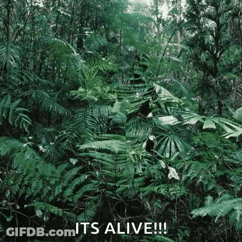 A Jungle With Lots Of Plants And Trees And The Words `` It 'S Alive '' Written On The Bottom . GIF