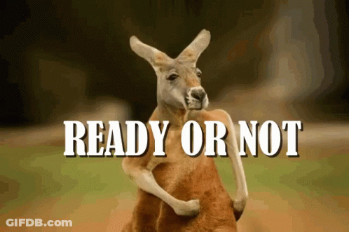 A Kangaroo Is Holding Another Kangaroo With The Words " Ready Or Not " Below It GIF