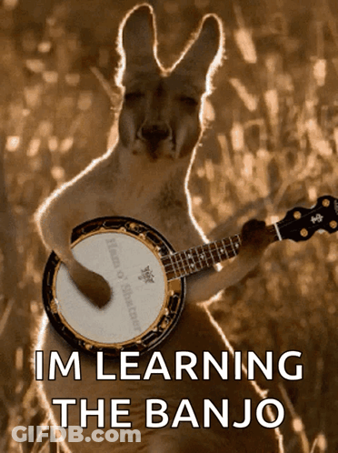 Kangaroo Learning Banjo Text GIF