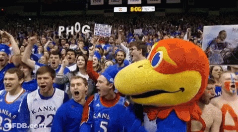 A Kansas Mascot Is Surrounded By A Crowd Of People GIF