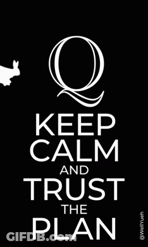 A Keep Calm And Trust The Plan Poster With A Bird GIF