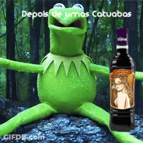A Kermit Frog Is Sitting On A Rock Next To A Bottle Of Catuaba GIF