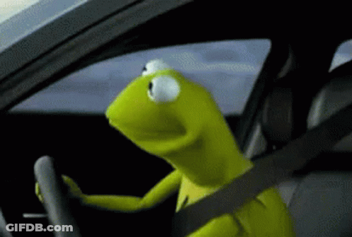 A Kermit The Frog Is Driving A Car And Wearing A Seat Belt . GIF