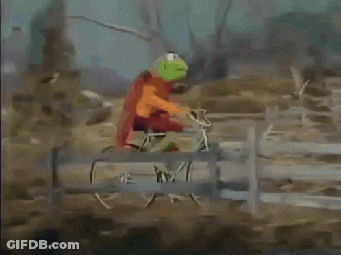 A Kermit The Frog Is Wearing A Red Scarf GIF