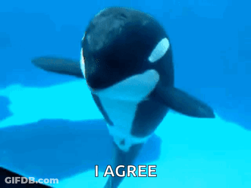 A Killer Whale Is Swimming In The Ocean With The Words `` I Agree '' Above It . GIF