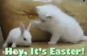 A Kitten And A White Rabbit Are Playing With Each Other And The Words Hey It 'S Easter Are Visible . GIF