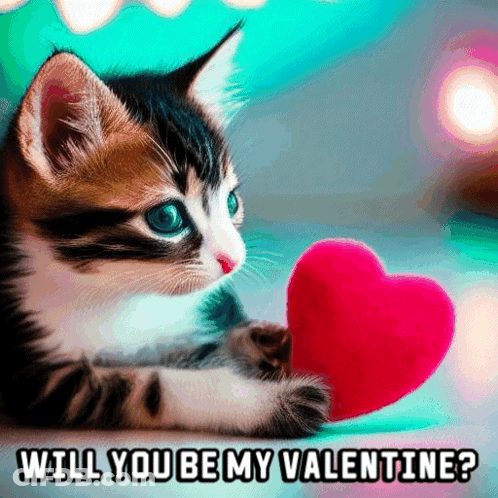 A Kitten Holding A Red Heart With The Words Will You Be My Valentine GIF