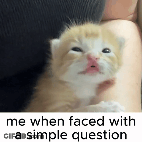 A Kitten Is Being Held In A Person 'S Arm With A Caption That Says Me When Faced With A Simple Question GIF