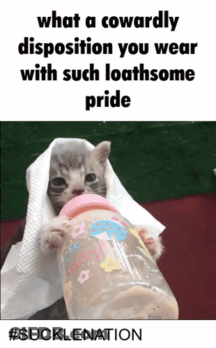 A Kitten Is Drinking From A Baby Bottle With The Words What A Cowardly Disposition You Wear With Such Loathsome Pride GIF