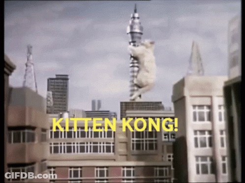 A Kitten Is Hanging From A Pole With The Words Kitten Kong In Yellow Letters GIF