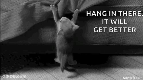 A Kitten Is Hanging Upside Down On A Couch . GIF