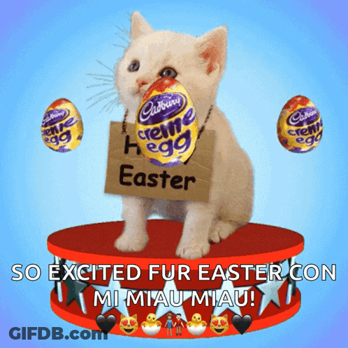 A Kitten Is Holding A Cadbury Creme Egg GIF