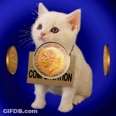 A Kitten Is Holding A Coin That Says ' Georgina ' On It GIF