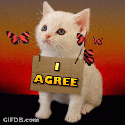 A Kitten Is Holding A Sign That Says I Agree GIF