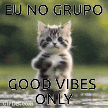 A Kitten Is Jumping In The Air With The Words Eu No Grupo Good Vibes Only GIF