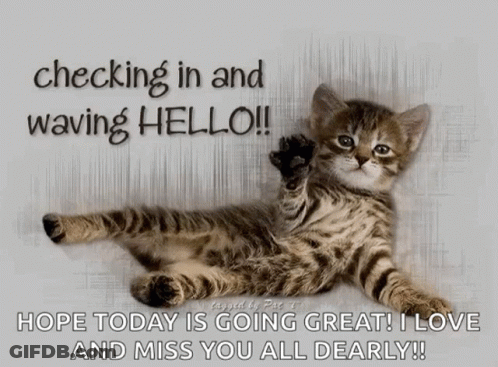 A Kitten Is Laying Down With The Words Checking In And Waving Hello GIF