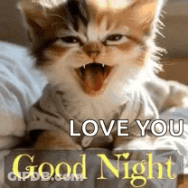A Kitten Is Laying On A Bed With Its Mouth Open . GIF