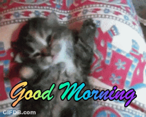 A Kitten Is Laying On A Bed With The Words `` Good Morning '' Written On The Bottom . GIF