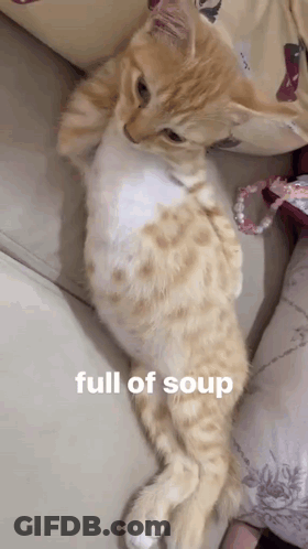 A Kitten Is Laying On A Couch With The Caption Full Of Soup GIF