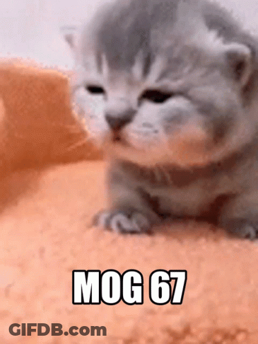 A Kitten Is Laying On A Pile Of Sand With The Words Mog 67 Written On It GIF