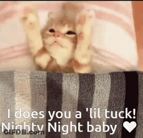 A Kitten Is Laying On A Striped Blanket With The Words I Does You A Lil Tuck Nighty Night Baby GIF