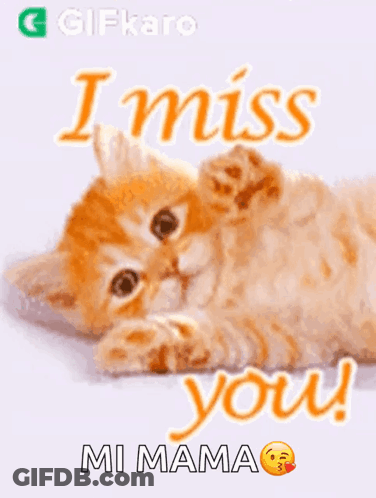 A Kitten Is Laying On Its Back With The Words `` I Miss You '' Written Above It . GIF