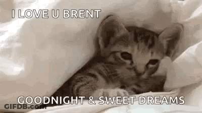 A Kitten Is Laying Under A Blanket And Says `` I Love U Brent Goodnight & Sweet Dreams '' GIF