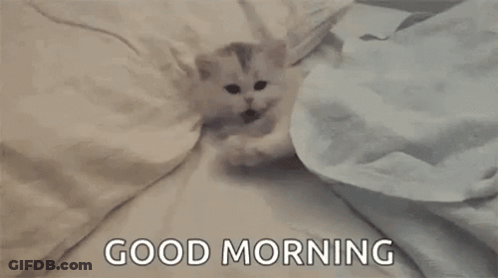 A Kitten Is Laying Under A Blanket On A Bed With The Words Good Morning Written On The Bottom . GIF