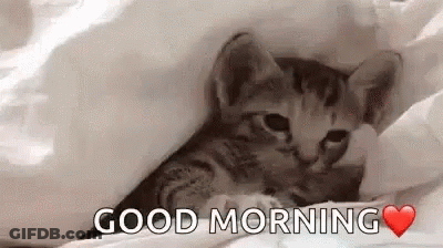 A Kitten Is Laying Under A Blanket With The Words `` Good Morning '' . GIF