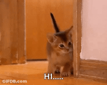 A Kitten Is Peeking Out From Behind A Door And Says Hi . GIF