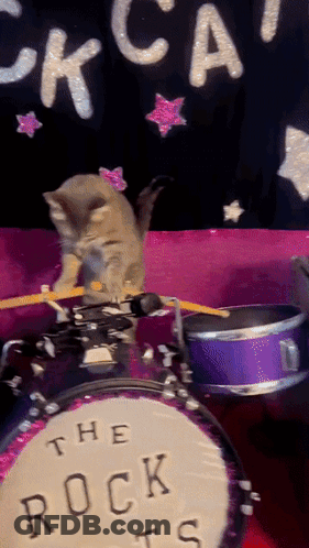 A Kitten Is Playing Drums In Front Of A Sign That Says " The Rock Cats " GIF