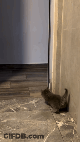 A Kitten Is Playing On A Tiled Floor Near A Door GIF