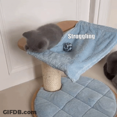 A Kitten Is Playing With A Ball On A Scratching Post And The Word Struggling Is Above It GIF