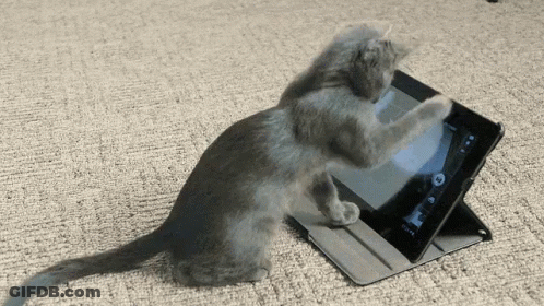 A Kitten Is Playing With A Tablet That Has The Time Of 12:14 GIF