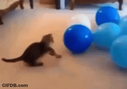 A Kitten Is Playing With Balloons On The Floor GIF