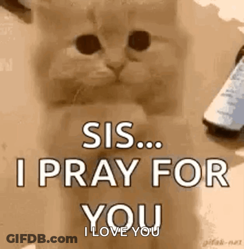 A Kitten Is Saying `` Sis ... I Pray For You , I Love You '' . GIF