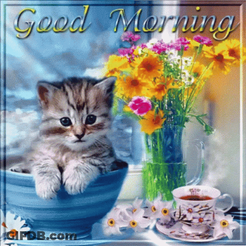 A Kitten Is Sitting In A Bowl With Flowers And A Cup Of Tea GIF