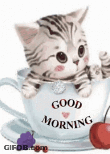 A Kitten Is Sitting In A Cup Of Coffee . GIF